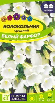 Колокольчик Белый фарфор (семена Алтая) 0,1 гр двулетник Колокольчик Белый фарфор (семена Алтая) 0,1 гр двулетник