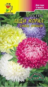 Астра Леди корал смесь (цветущий сад) 0,1 гр Астра Леди корал смесь (цветущий сад) 0,1 гр