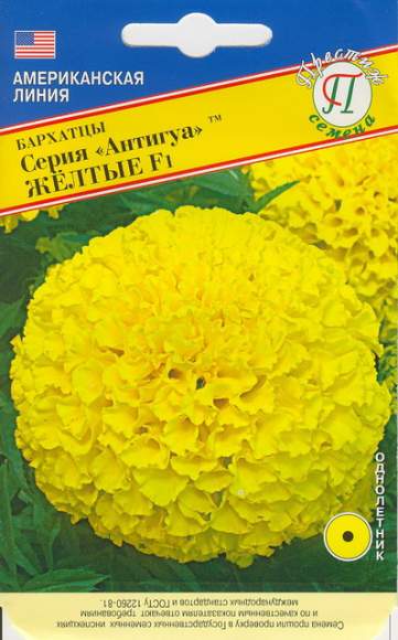 Бархатцы Антигуа F1 желтые (престиж) 5 шт – купить в г. Омск Бархатцы Антигуа F1 желтые (престиж) 5 шт – купить в г. Омск