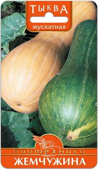 Тыква Мускатная Жемчужина (биотехника) 6 шт  – купить в г. Омск