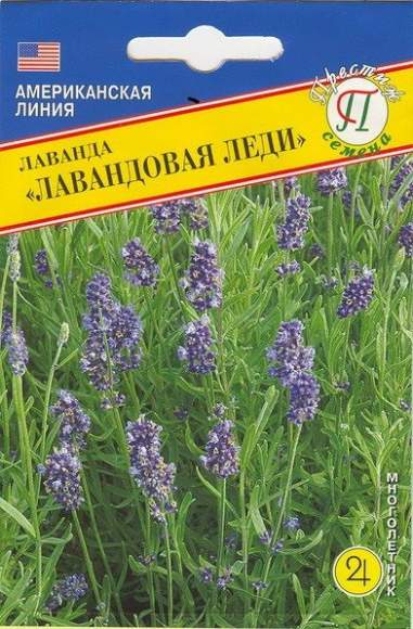 Лаванда Лавандовая леди (престиж) 0,01 гр  – купить в г. Омск