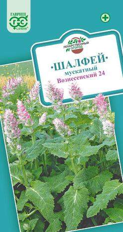 Шалфей мускатный Вознесенский 24 (гавриш) 0,3 гр  – купить в г. Омск