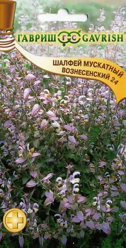 Шалфей мускатный Вознесенский 24 (гавриш) 0,3 гр  – купить в г. Омск