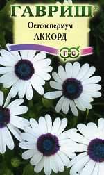 Остеоспермум Аккорд (гавриш) 0,1гр  – купить в г. Омск