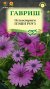 Остеоспермум Пэшн Роуз (гавриш) 3шт  – купить в г. Омск