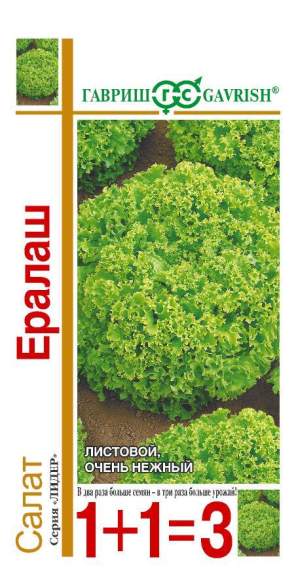 Салат листовой Ералаш (1+1=3) (гавриш) 1,0 гр  – купить в г. Омск