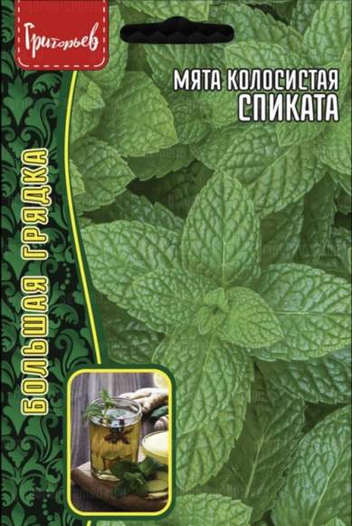 Мята колосистая Спиката (Григорьев) 0,05 гр  – купить в г. Омск