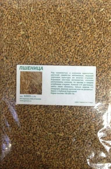 Пшеница 1кг (фас.)  – купить в г. Омск