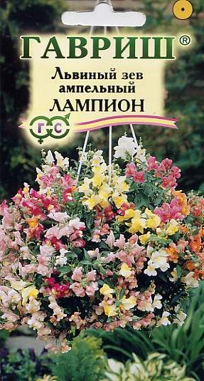 Львиный зев Лампион F1 ампельный (гавриш) 5шт  – купить в г. Омск