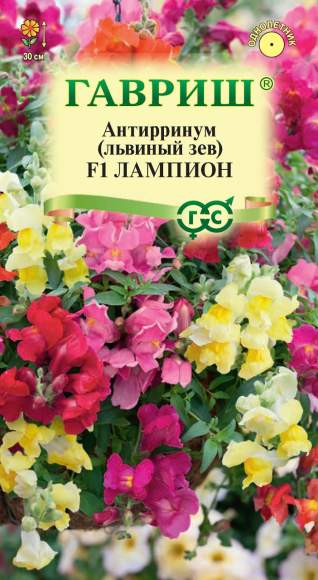 Антирринум (львиный зев) Лампион F1 ампельный (гавриш) 5шт  – купить в г. Омск