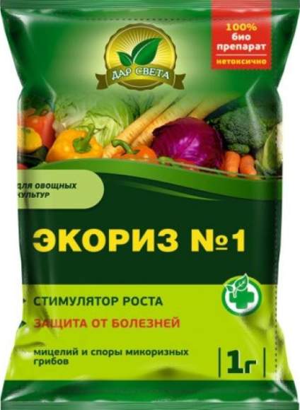 Экориз №1 (мицелий) 1гр  – купить в г. Омск