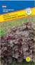 Гейхера Пурпурный дворец (престиж) 5 шт  – купить в г. Омск