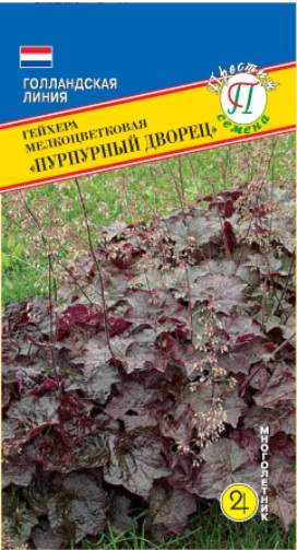Гейхера Пурпурный дворец (престиж) 5 шт  – купить в г. Омск
