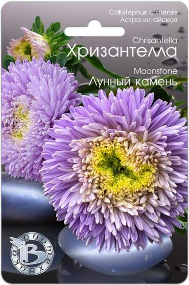 Хризантелла Лунный камень (биотехника) 30шт  – купить в г. Омск