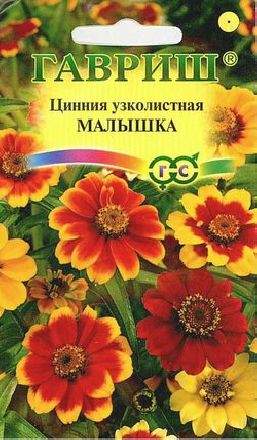 Цинния Малышка (гавриш) 0,3гр  – купить в г. Омск
