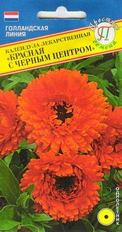 Календула Красная с черным центром (престиж) 0,3 гр  – купить в г. Омск