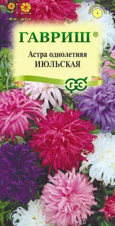 Астра Июльская, смесь (гавриш) 0,3 гр  – купить в г. Омск