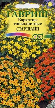 Бархатцы тонколистные Старшайн (гавриш) 0,05 гр