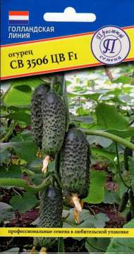Огурец СВ 3506 ЦВ F1 (престиж) 5 шт