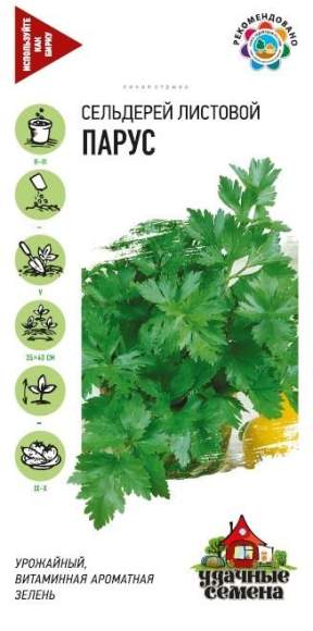 Сельдерей листовой Парус (гавриш) (ус) 0,1гр – купить в г. Омск Сельдерей листовой Парус (гавриш) (ус) 0,1гр – купить в г. Омск