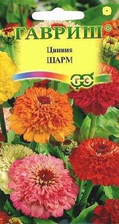 Цинния Шарм (гавриш) 0,3 гр – купить в г. Омск Цинния Шарм (гавриш) 0,3 гр – купить в г. Омск