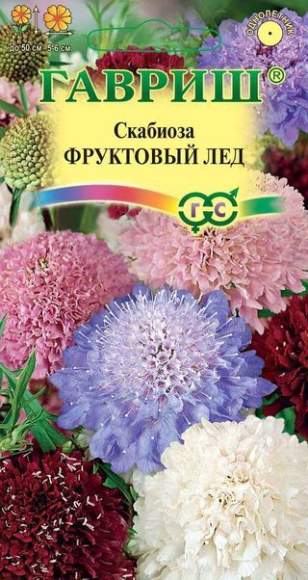 Скабиоза Фруктовый лед (гавриш) 0,2гр  – купить в г. Омск