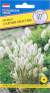 Лагурус Заячий хвостик (престиж) 10шт  – купить в г. Омск