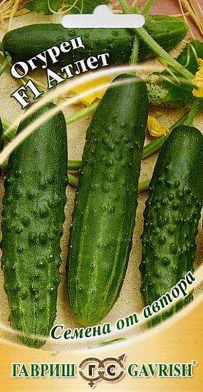 Огурец Атлет F1 (гавриш) 10шт  – купить в г. Омск