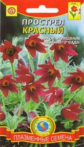 Прострел Красный (плазмас) 10 шт  – купить в г. Омск