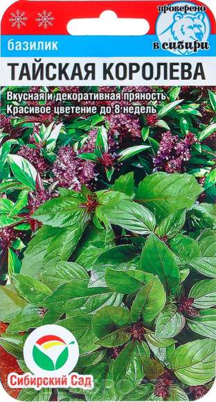 Базилик Тайская королева (сс) 0,5гр  – купить в г. Омск