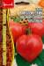 Томат Минусинский низкорослый крупный (Григорьев) 10 шт  – купить в г. Омск