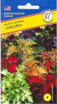 Колеус Забава смесь (престиж) 10 шт