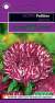 Астра Риббон красная (гавриш) 0,1гр  – купить в г. Омск