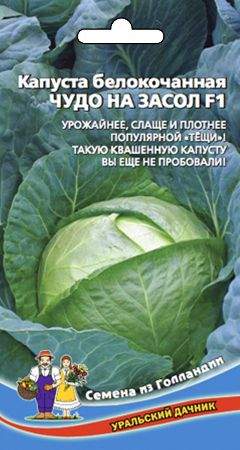Капуста б/к Чудо на засол F1 (уд) 0,3гр  – купить в г. Омск