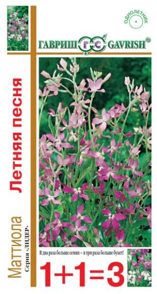 Маттиола Летняя песня (1+1=3) (гавриш) 0,6 гр  – купить в г. Омск