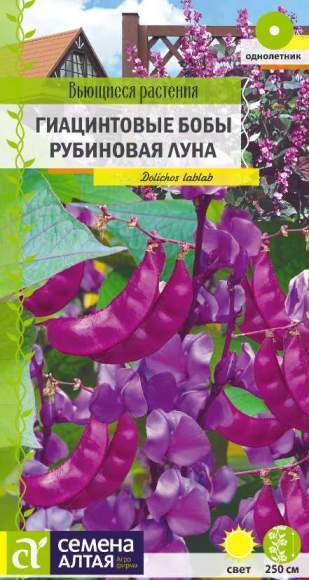 Гиацинтовые бобы Рубиновая луна (семена Алтая) 1,0 гр – купить в г. Омск Гиацинтовые бобы Рубиновая луна (семена Алтая) 1,0 гр – купить в г. Омск