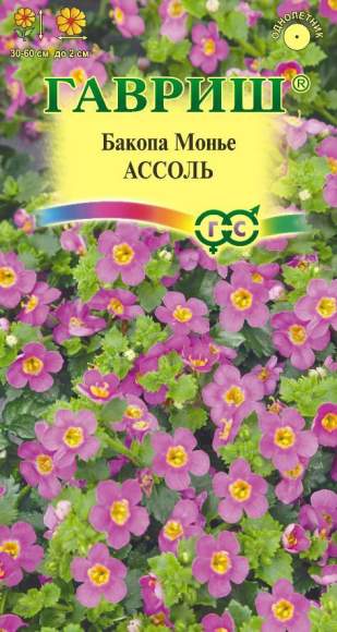 Бакопа Ассоль (гавриш) 3шт  – купить в г. Омск