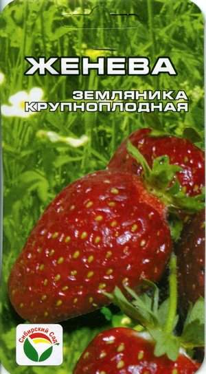 Земляника крупноплодная Женева (сибирский сад) 10 шт  – купить в г. Омск