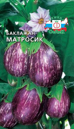 Баклажан Матросик (седек) 0,2гр  – купить в г. Омск