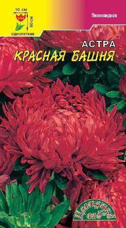Астра Башня красная (цветущий сад) 0,2 гр – купить в г. Омск Астра Башня красная (цветущий сад) 0,2 гр – купить в г. Омск