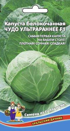 Капуста б/к Чудо ультрараннее F1 (уральский дачник) 0,3гр  – купить в г. Омск