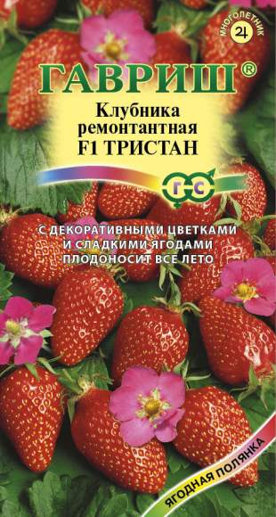 Клубника Тристан F1 (гавриш) 5 шт