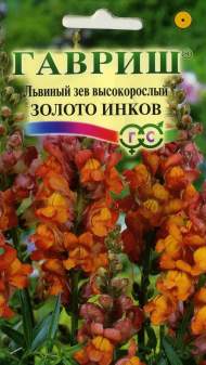 Антирринум (львиный зев) Золото инков (гавриш) 0,1гр