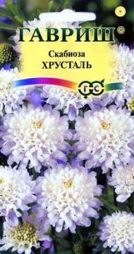 Скабиоза Хрусталь (гавриш) 0,2гр