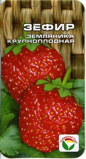 Земляника крупноплодная Зефир (сибирский сад) 10 шт  – купить в г. Омск