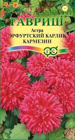 Астра Эрфуртский карлик Кармезин (гавриш) 0,3гр  – купить в г. Омск