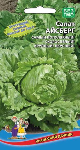 Салат кочанный Айсберг (уральский дачник) 0,25 гр  – купить в г. Омск
