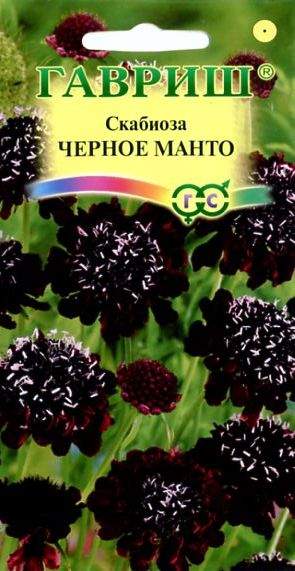 Скабиоза Черное манто (гавриш) 0,2гр  – купить в г. Омск