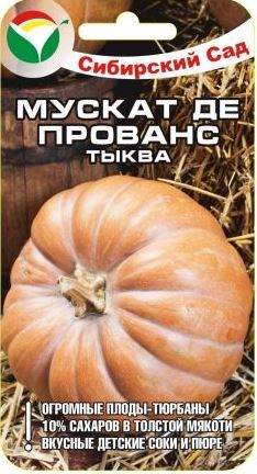 Тыква Мускат де Прованс (сибирский сад) 5 шт  – купить в г. Омск