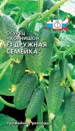 Огурец Дружная семейка F1 (седек) 0,2гр  – купить в г. Омск
